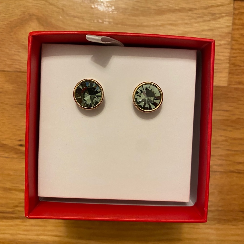Kate Spade Earrings - Never Worn